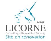 Logo-Licorne-en-constructio